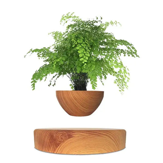 Magnetic Floating Plant Pot Levitating Bonsai Creative Pot For Mini Plant